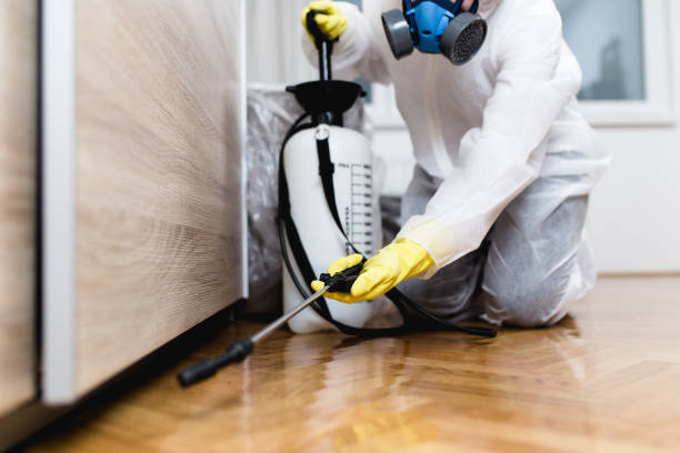 Professional Pest Control in Fort Campbell North, KY