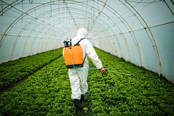 Pest Prevention Services in Fort Campbell North, KY