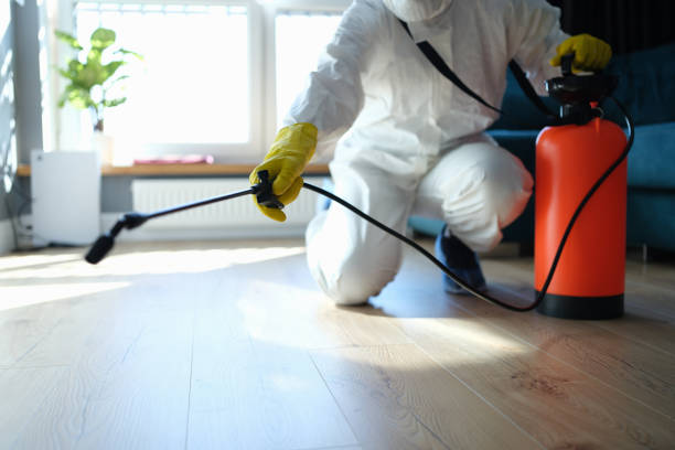 Best Termite Control Services  in Fort Campbell North, KY