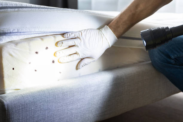 Best Pest Removal Services  in Fort Campbell North, KY