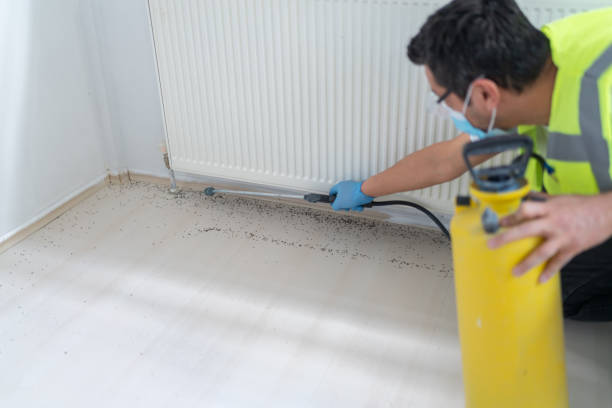 Best Wasp Removal Services  in Fort Campbell North, KY