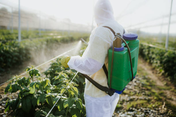 Best Best Pest Control Companies  in Fort Campbell North, KY